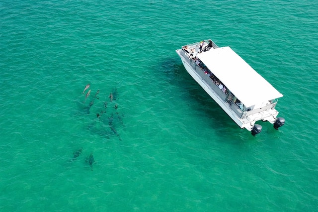 Shell Island Nature & Marine Viewing Tour