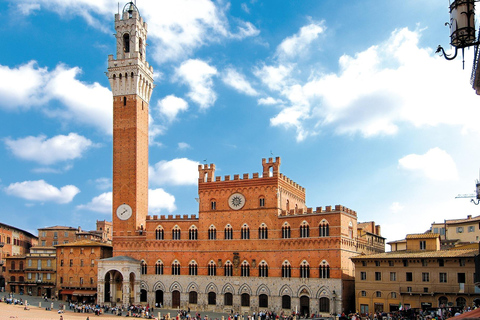 Vanuit Florence: Pisa, San Gimignano en Siena privétour