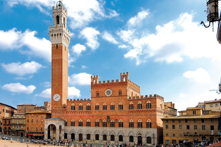 De Florença: Tour particular de Pisa, San Gimignano e Siena