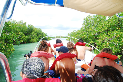 Isla Saona snorkling och safari med vilda djur: Allt inkluderat!