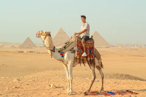 Cairo: Passeio de camelo à volta das pirâmides com serviço de busca no hotel