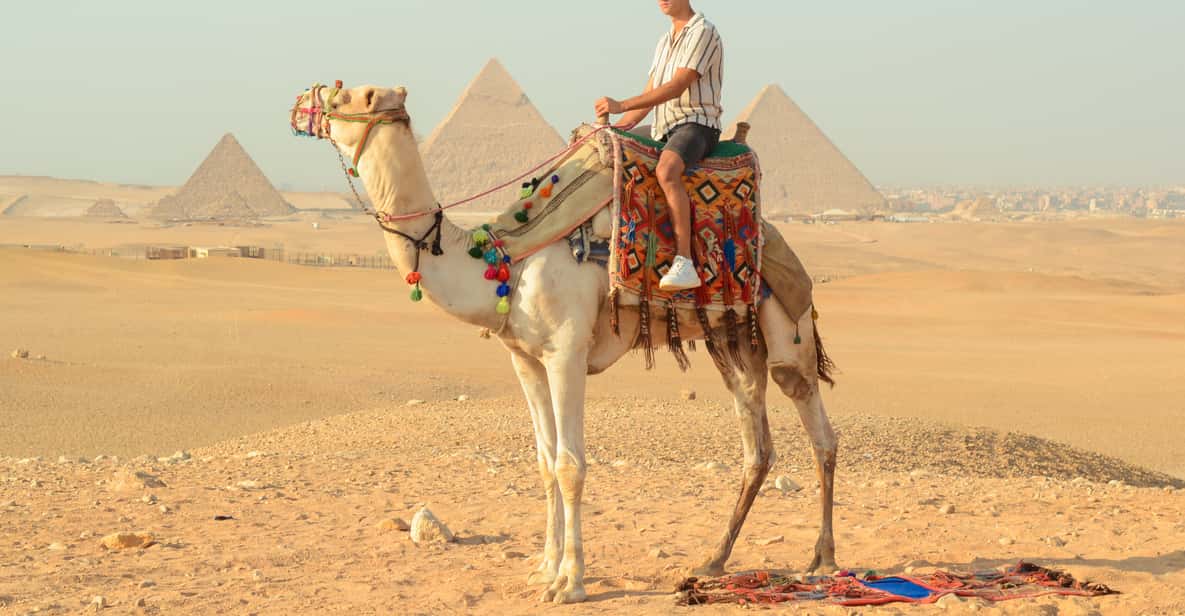 カイロラクダに乗ってピラミッド周遊（ホテル送迎付き | GetYourGuide