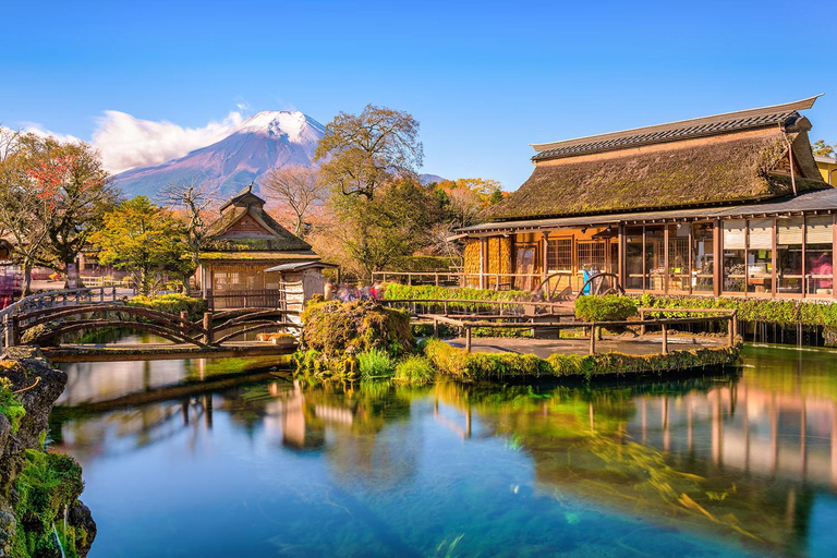 Tokyo: Mt Fuji Customizable Tour with Lakes & Pagoda