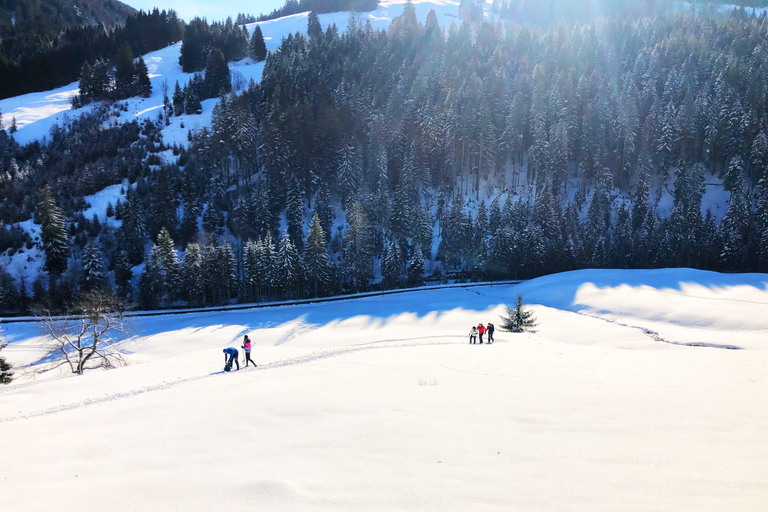 Allgäu: Wandelen met sneeuwschoenen