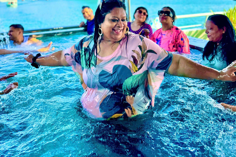 5-Star Ha Long Day Cruise with Jacuzzi, Lunch & Free Drink Day Cruise With Meal