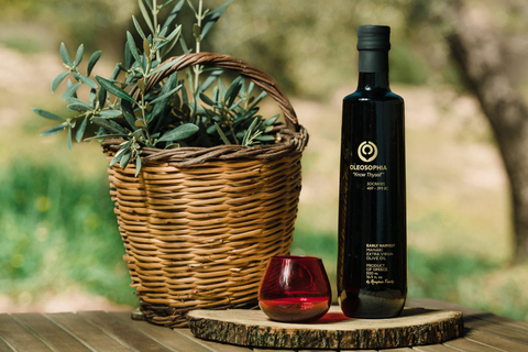 From Nafplion: Argos Castle & Olive Tasting Experience