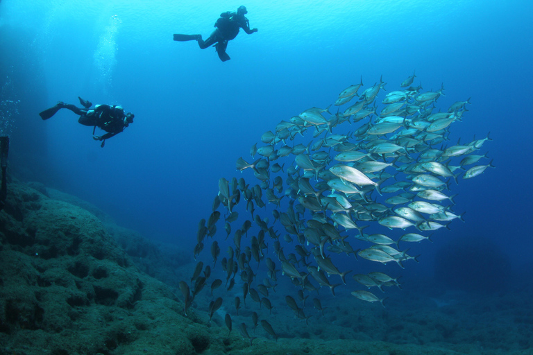 Creta: Experiencia de Buceo Guiado en Chania para Buceadores Certificados