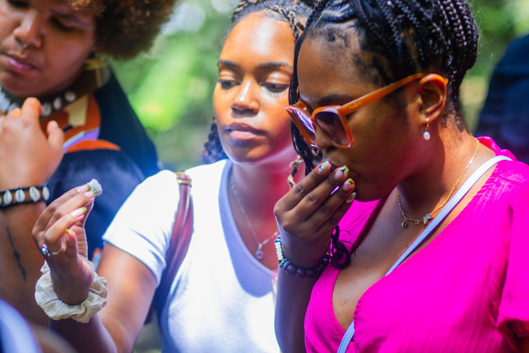 Accra: Giardino Botanico di Aburi, Fattoria del Cacao e Cascata ...