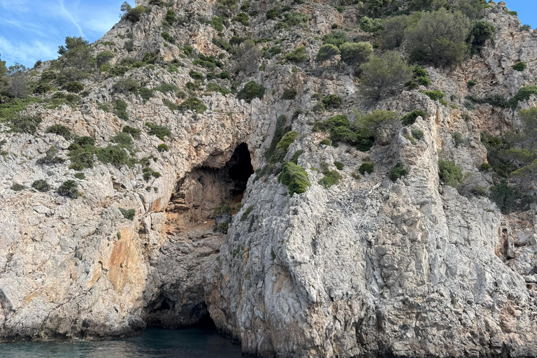 Can Picafort: Boat Trips along Mallorca's North Coast Cap Menorca