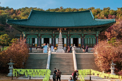 Excursion d&#039;une journée à Balwangsan : sentiers forestiers et vues panoramiques sur les hauts plateauxShinsegae Duty Free (Myeongdong)