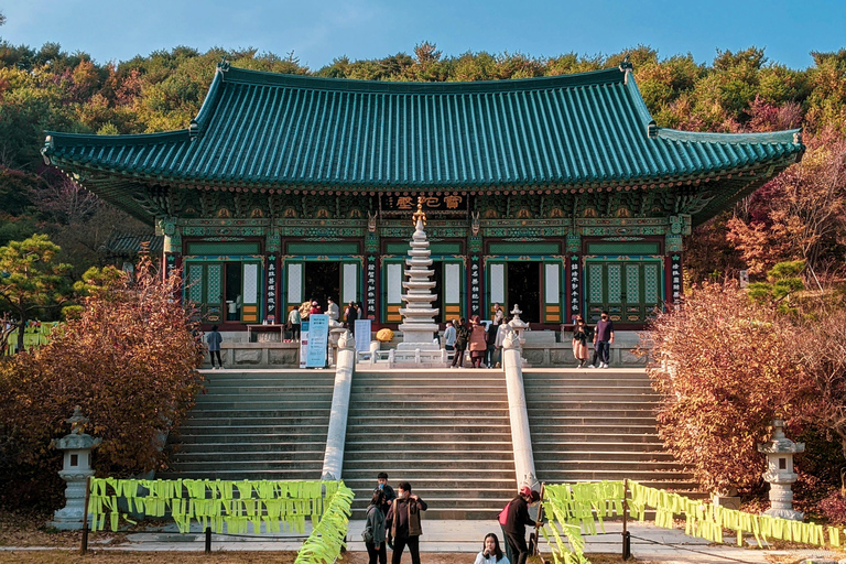 Excursion d&#039;une journée à Balwangsan : sentiers forestiers et vues panoramiques sur les hauts plateauxShinsegae Duty Free (Myeongdong)