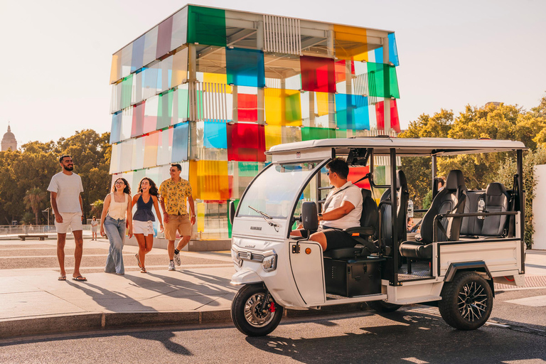 Málaga: tour particular de tuk tuk de 1 hora