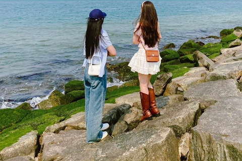 Tour della città di Da Nang: Son Tra, Passo di Hai Van, Ponte del DragoTour in auto privata