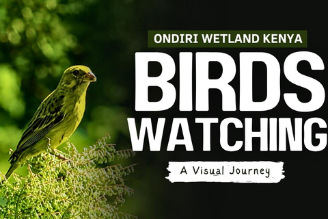 From Nairobi: Ondiri Wetland Guided Walking Tour