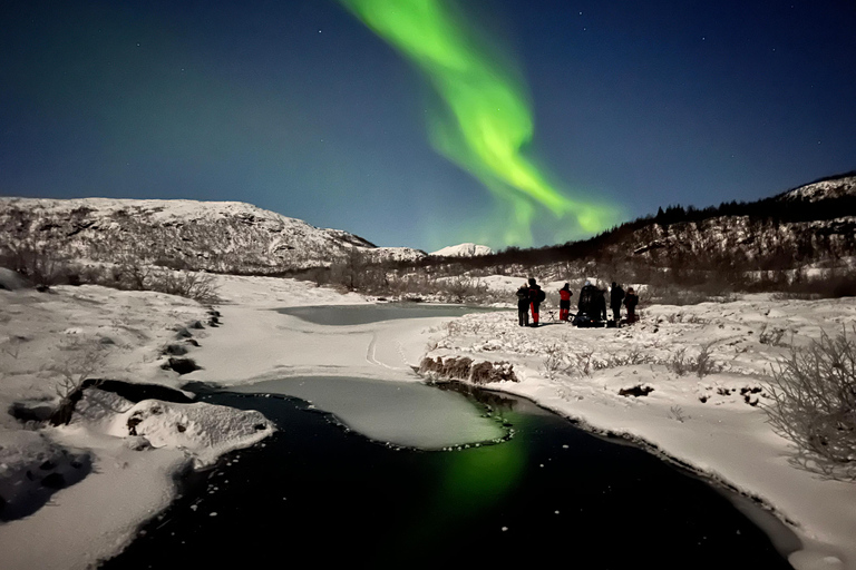 Tromsö: Norrsken i fokus tur, tyska/ engelska, minibuss, måltid