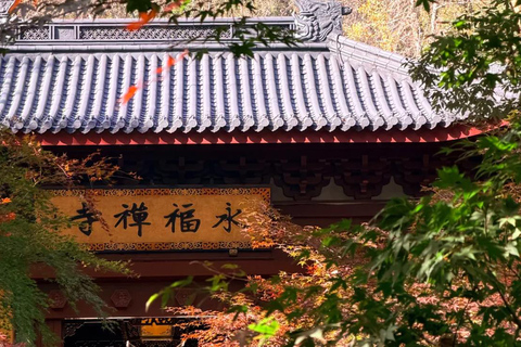 Hangzhou: Lingyin Temple and Stove Painting Experience