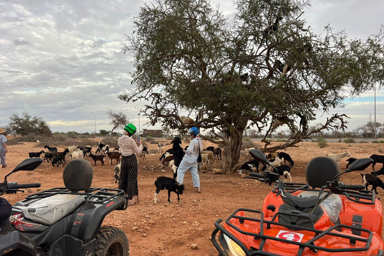 Passeio de quadriciclo e cabras na árvore de argão e chá com Nomade