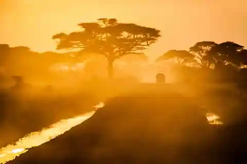 Dar es Salaam: Safari di 3 giorni nel Parco Nazionale di Mikumi in treno