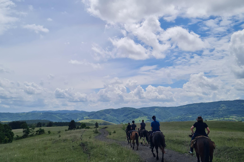 From Belgrade: 6-Day Šumadija Trail Horseback Riding Tour