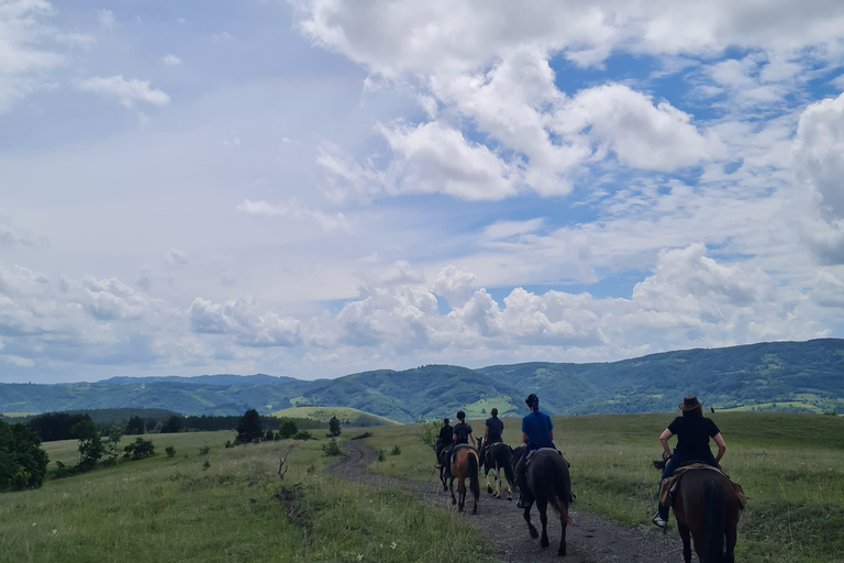 From Belgrade: 6-Day Šumadija Trail Horseback Riding Tour