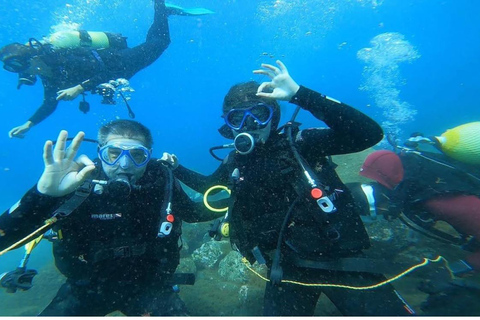 Madeira: Full-Day Dive Pack