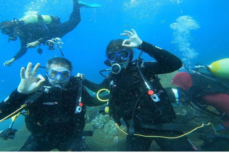 Madeira: Full-Day Dive Pack