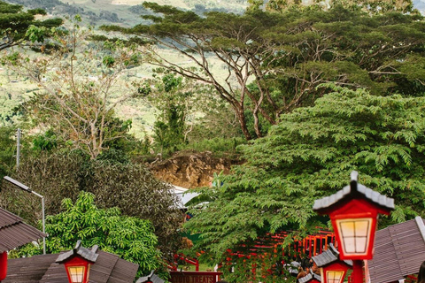 Cebu: Simala Shrine and City Tour Package A