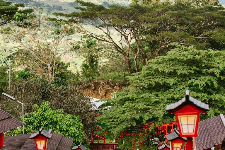 Cebu: Simala Shrine and City Tour Package A