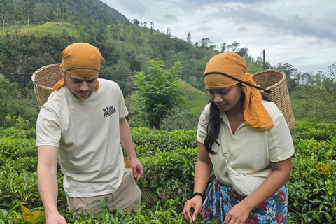 Ella: Sigiriya Transfer via Ambuluwawa & Twin Falls Ella to Sigiriya Private, Direct Transfer