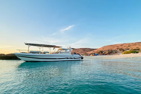 Muscat: Dolphin Watching