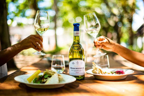 From Cape Town: Stellenbosch Wine Estates Tour with Tastings