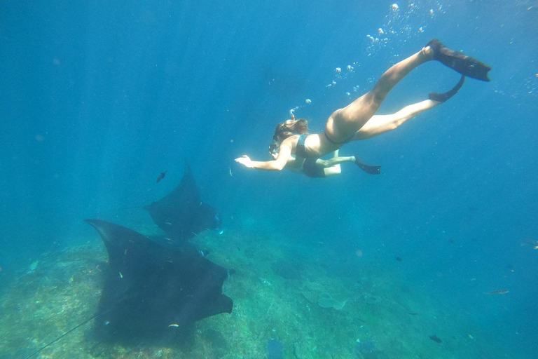 From Bali: Private Boat Nusa Penida 3-Spots Manta Snorkeling Start from Bali with Meeting Point at Sanur Port