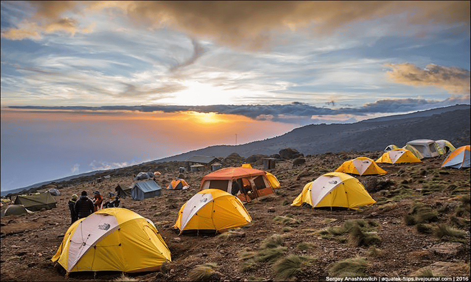 Kilimanjaro T Gige Lemosho Route Wandertour Getyourguide