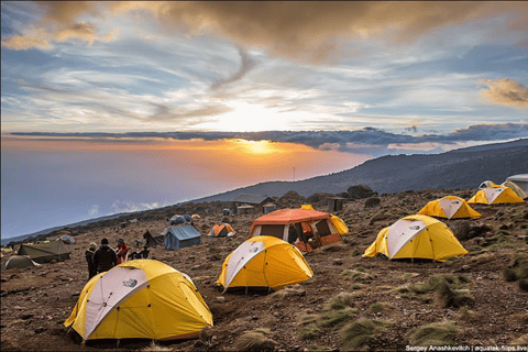 9-Day Mount Kilimanjaro via Lemosho Crater Route