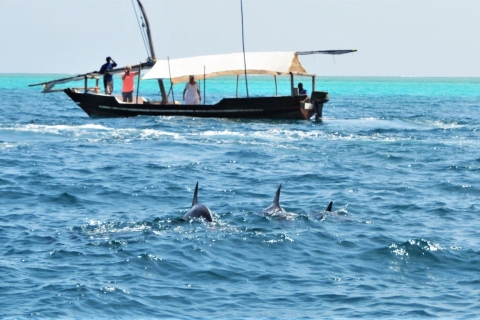 Dolfijnentour + snorkelen bij Mnemba eiland Halve dagDolfijnen Tour & snorkelen bij Mnemba Island .