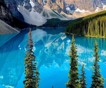 Banff: Lake Louise, Moraine, Emerald Lake & Johnston Canyon