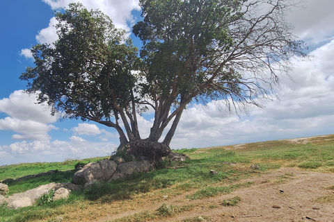 Nairobi: Amboseli National Park Tagestour mit PirschfahrtenSolo Nairobi: Amboseli National Park Tagestour