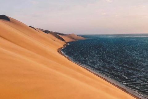Qatar;Desert Safari Adventure With Camel Ride & Inland Sea
