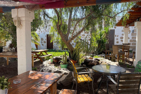 Camel Ride, Farm Visit and aperitive Pack Basic