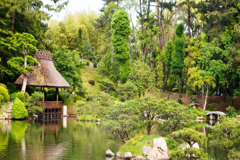 Hiroshima: Private Tour with Miyajima and Peace Park