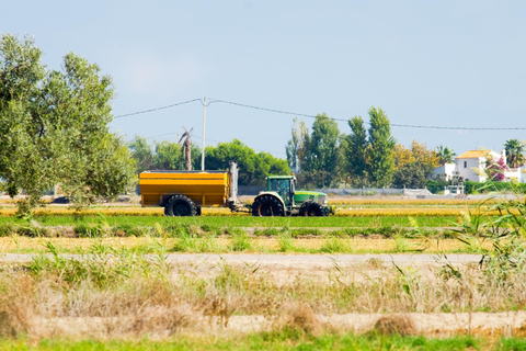 Barcelona: Tour zu den Thunfischbädern im Ebro-Delta und Olivenbaum-Route