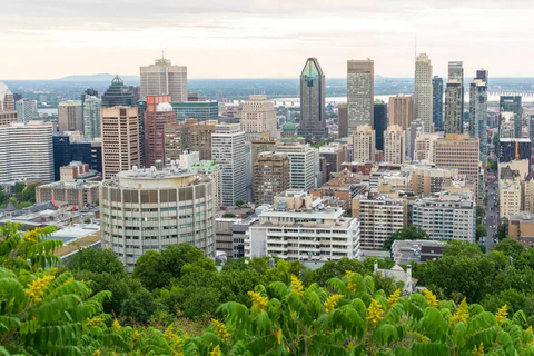 Full-Day Montreal Guided City Tour with Cruise from Ottawa