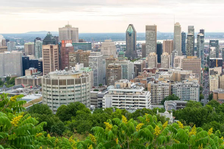 Full-Day Montreal Guided City Tour with Cruise from Ottawa