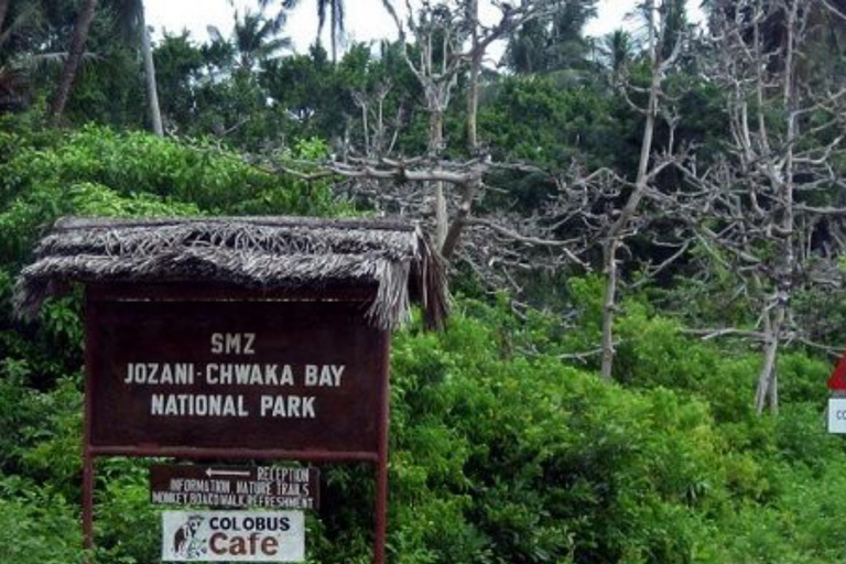 Zanzibar: las Jozani, farmy przypraw i wycieczka po Stone TownZanzibar: Las Jozani, plantacje przypraw i wycieczka po Stone Town