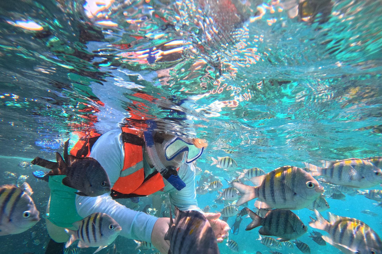 Isla Mujeres: Snorkel tour in 3 spots, Underwater Museum, and reefs! Isla Mujeres: Snorkeling tour in 3 spots, Underwater Museum and reefs!