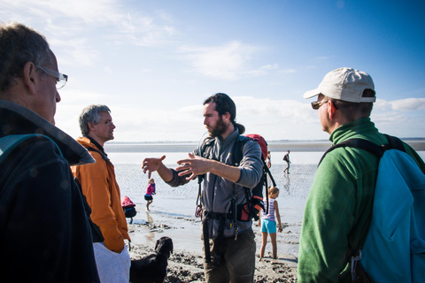 Bay of Mont Saint-Michel: Discovery walk and quicksand Bay of Mont Saint-Michel: Discovery Walk and Swirling Sands