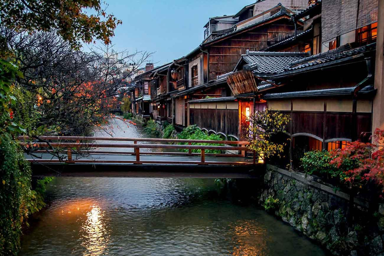 Kyoto: Kimono Experience with TeamLab Private Tour Kimono & Private Car Tour Package (Recommended)