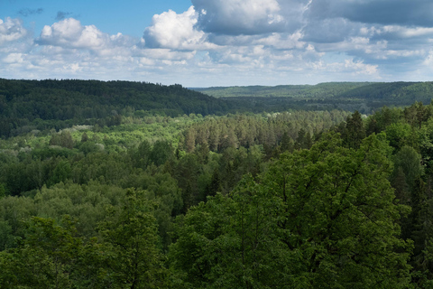 Sigulda: Walk in Gauja National Park with Photoghrapher 1-3 person private tour