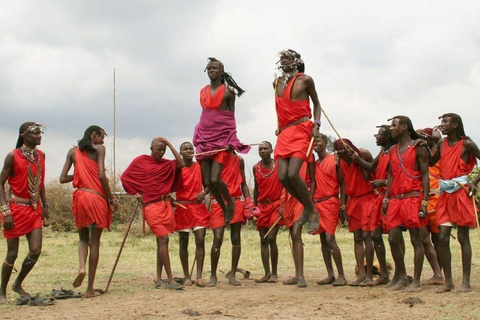 Nairobi : Excursion d&#039;une journée dans le parc national d&#039;Amboseli avec village Masai