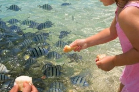 Vanuatu: Hideaway Island Escape and Coffee Roastery Visit